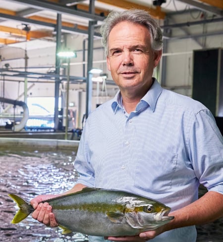 Dutch kingfish
