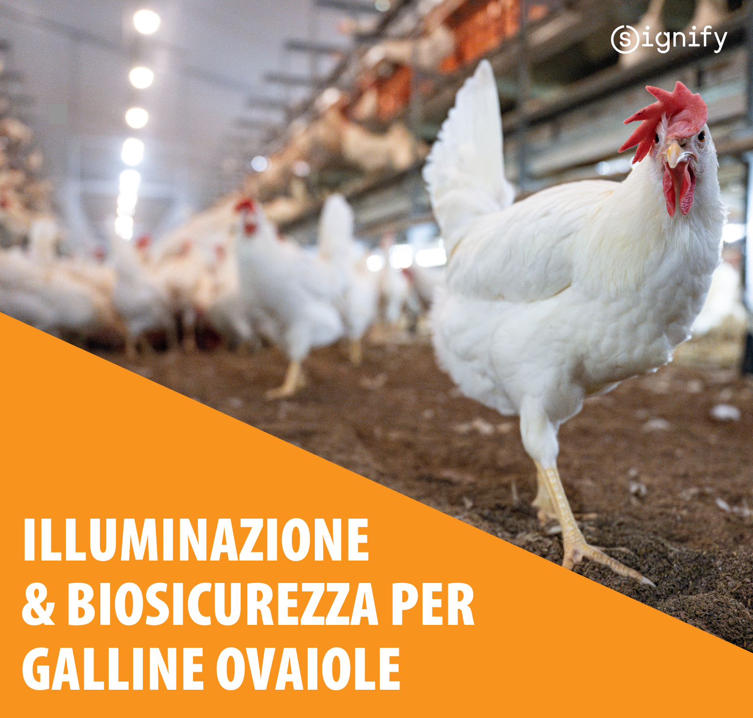 EU Layer brochure - Italian