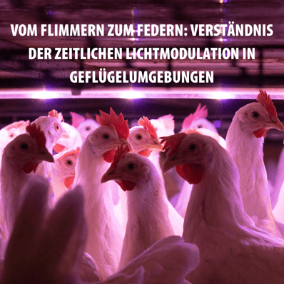 From Flicker to Feather Understanding Temporal Light Modulation in Poultry Environmen (3)