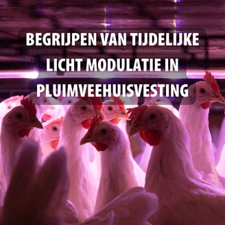 From Flicker to Feather Understanding Temporal Light Modulation in Poultry Environmen (9)