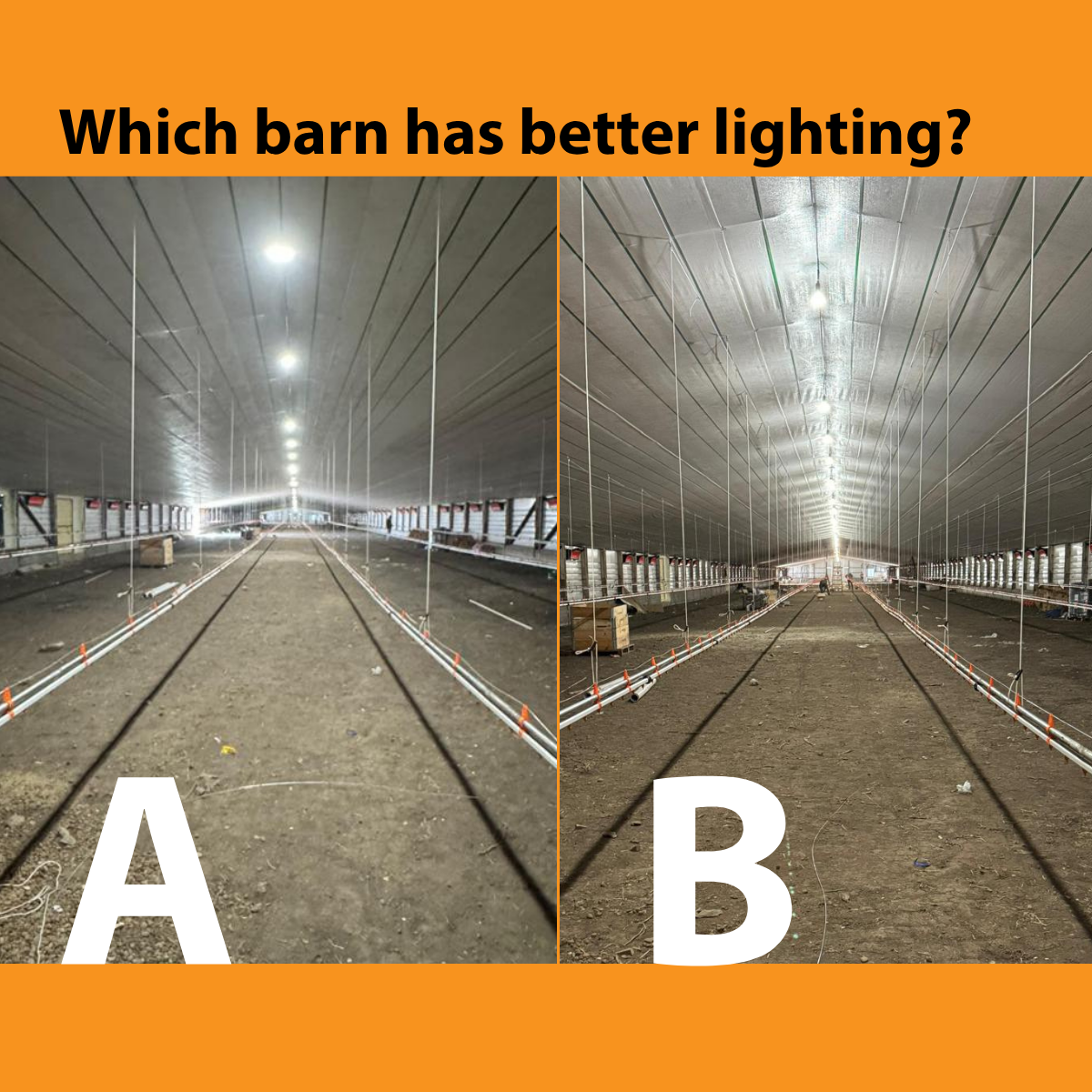 Which barn has better lighting